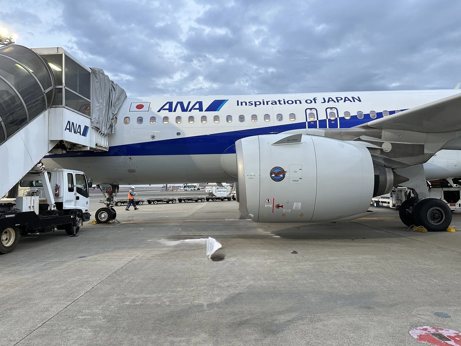 空港の駐機場に止まっているANAの飛行機