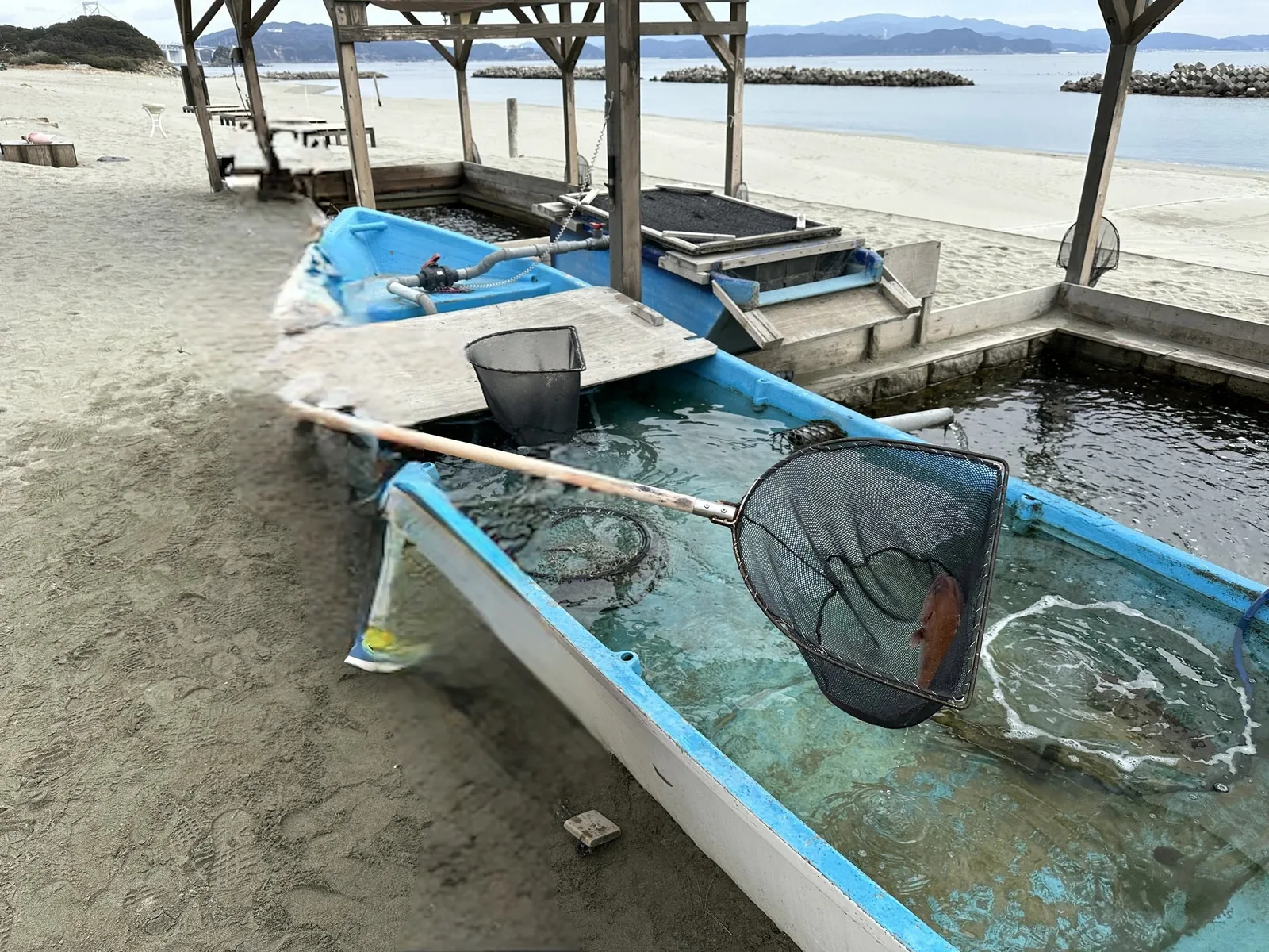 生け簀の横に置かれた青い小舟と、鯛をすくう網