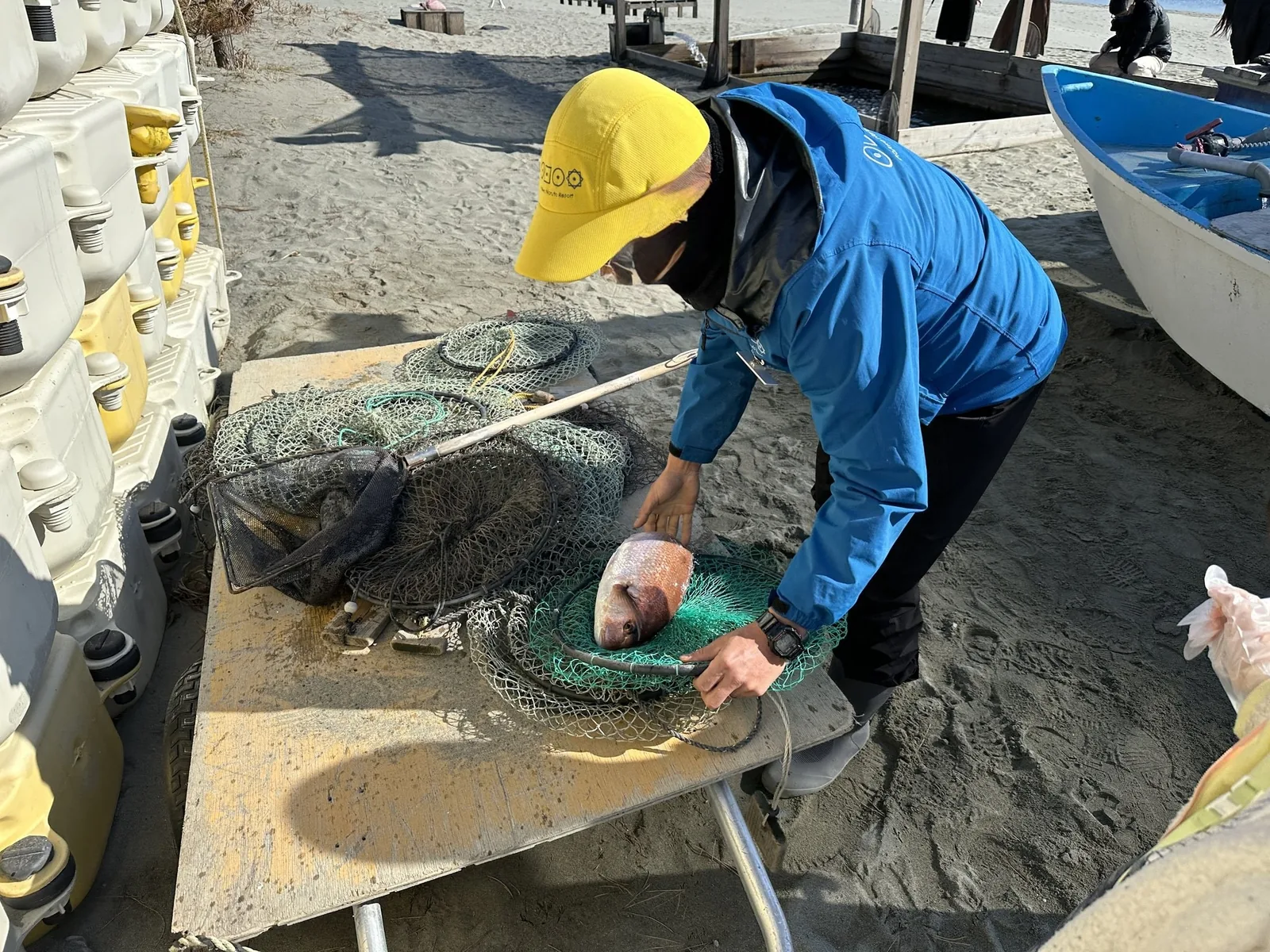 係の人が浜の作業台で、網に入った鯛を取り出しているところ