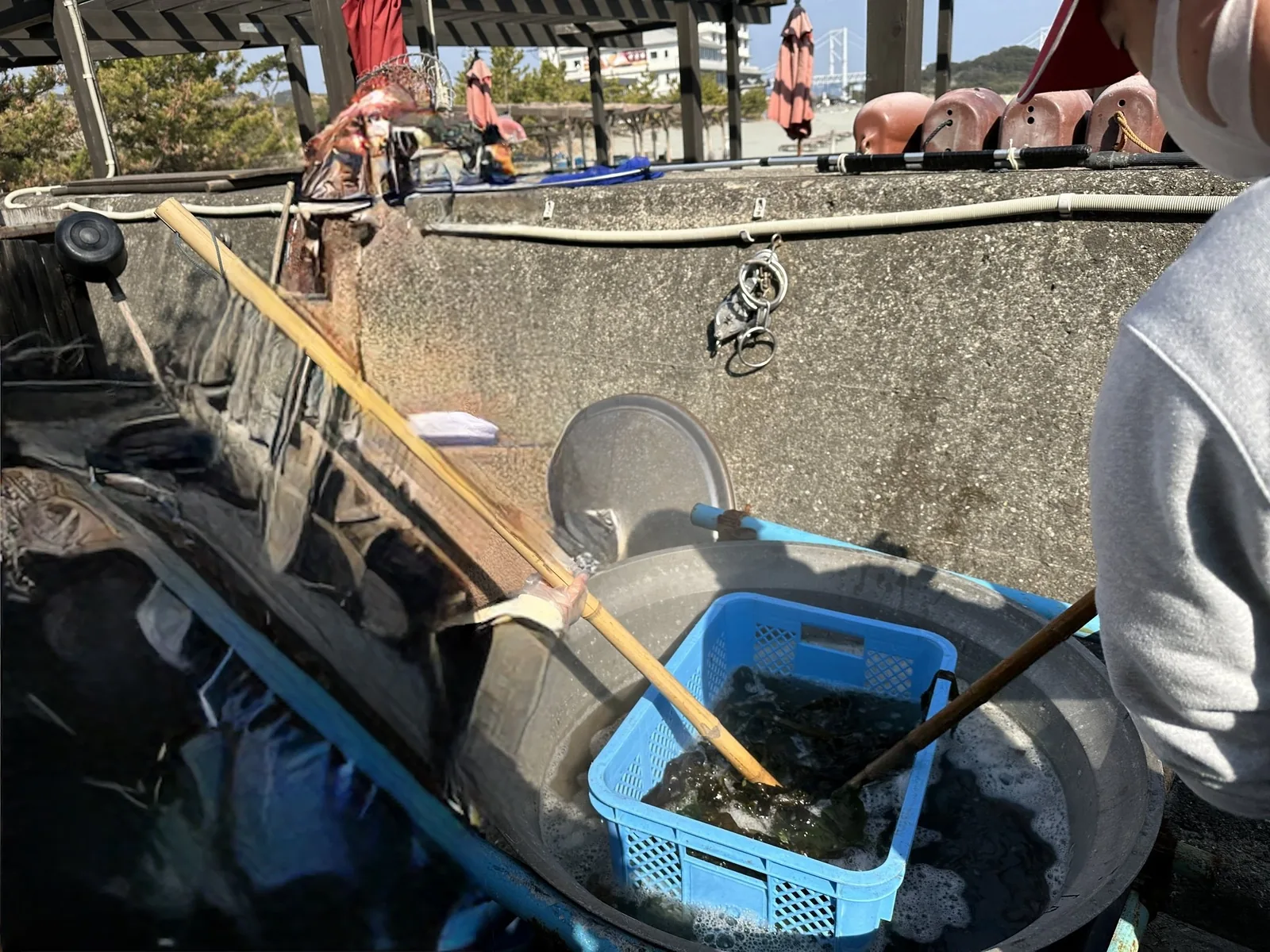 港の岸壁で、わかめを茹でる釜と竹の棒