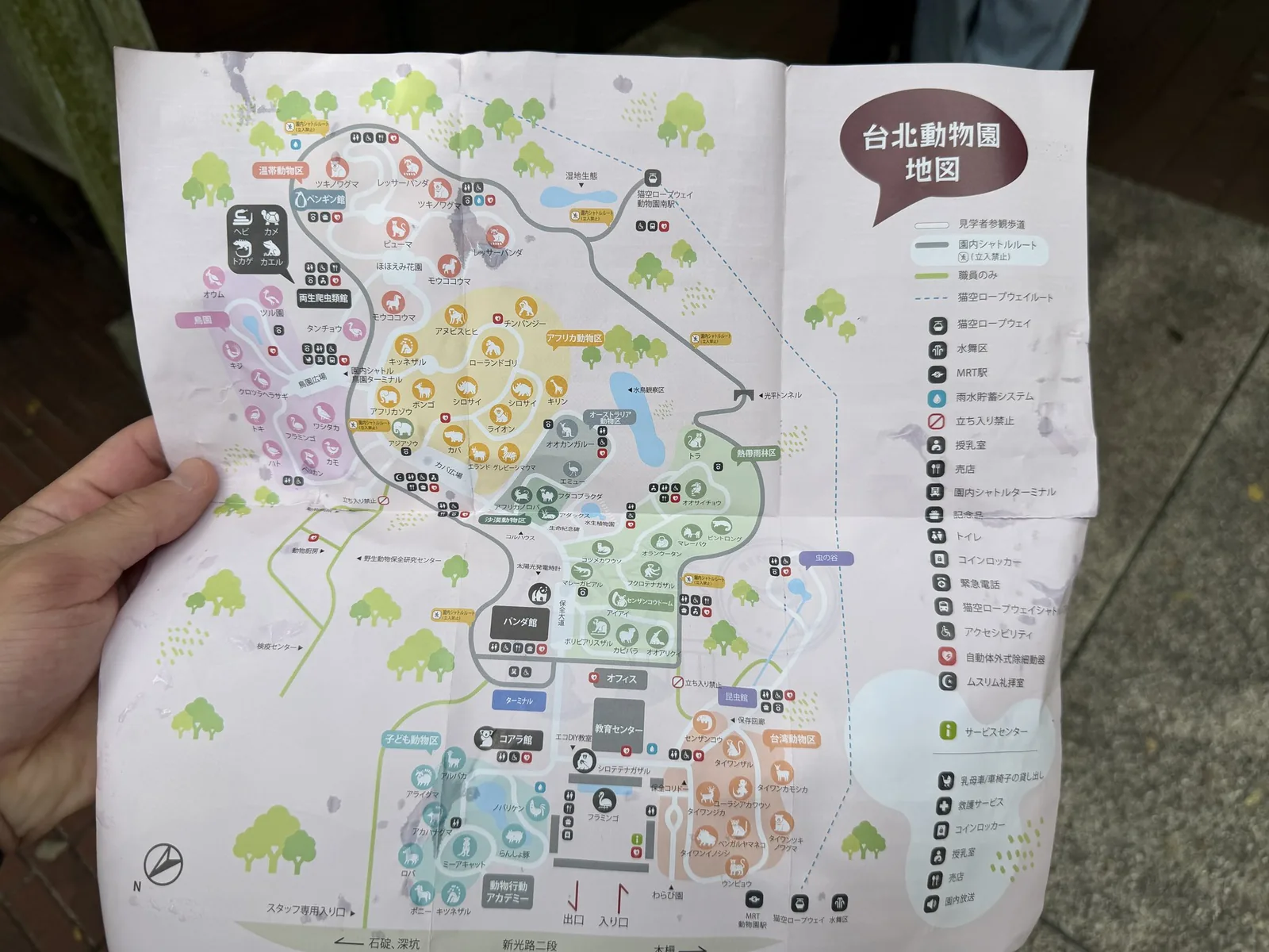 台北市立動物園の園内地図を手で広げたところ。日本語表記があり、エリアごとに色分けされている