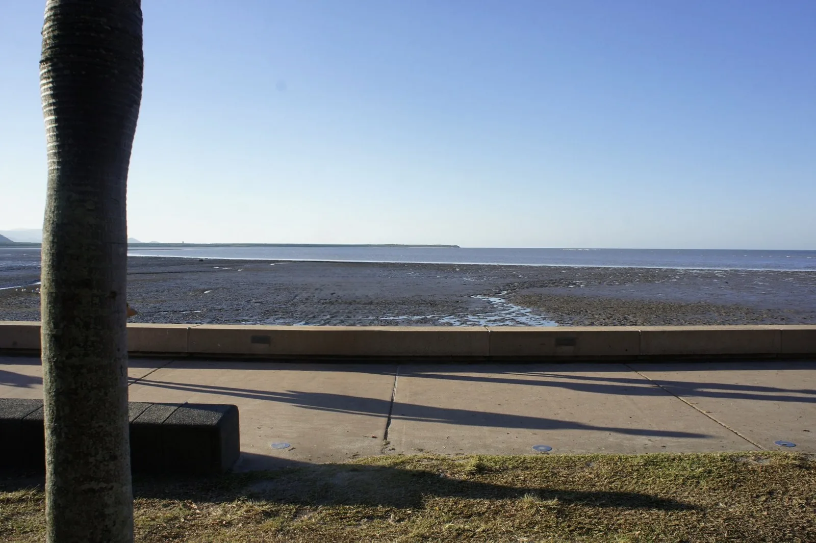 Mudflats spread out along the shore at low tide and the seaside promenade, with a palm trunk in the foreground and a blue sky with few clouds