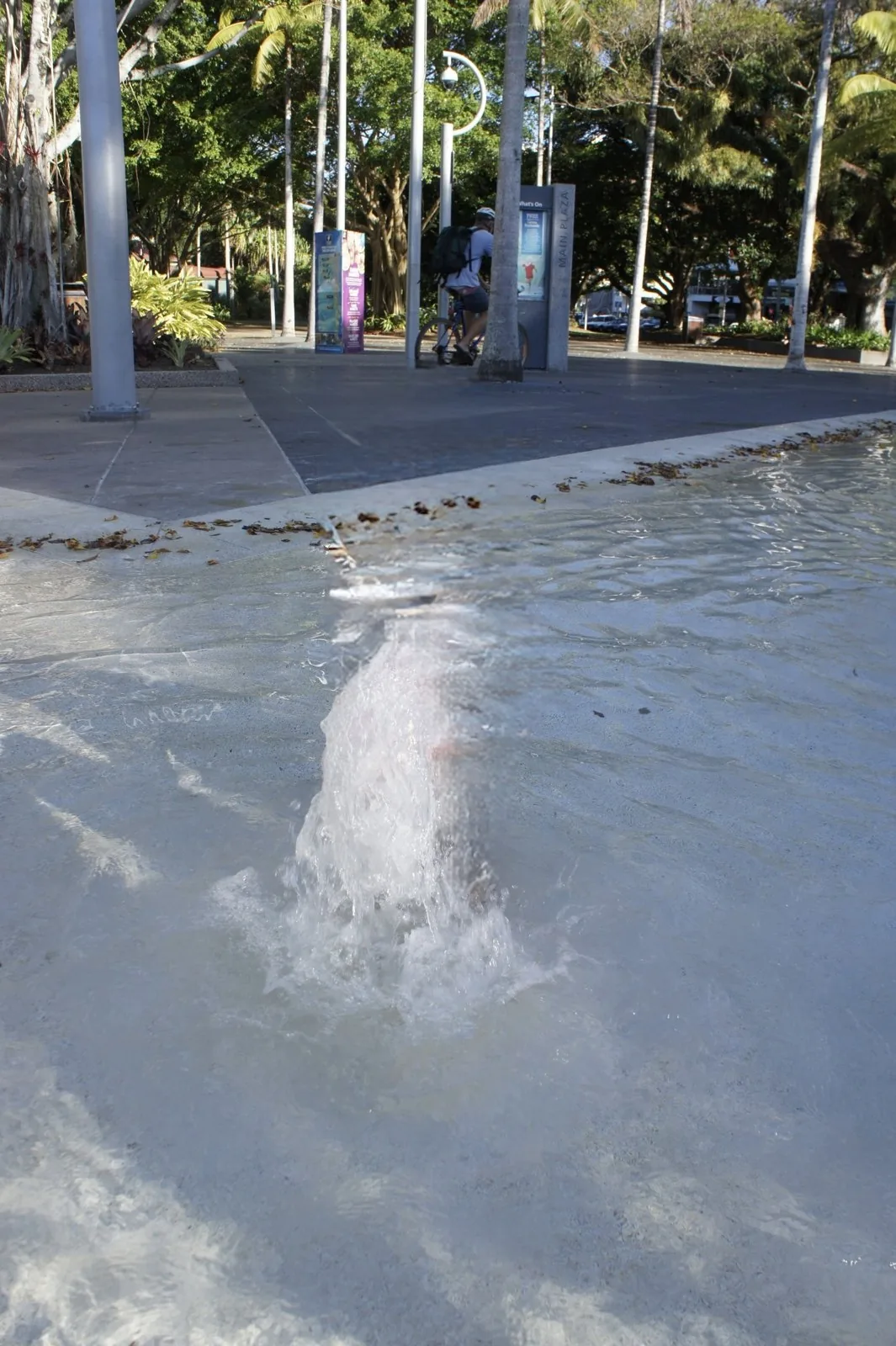 A fountain shooting up from a shallow water feature in the plaza, with a palm-lined walkway behind