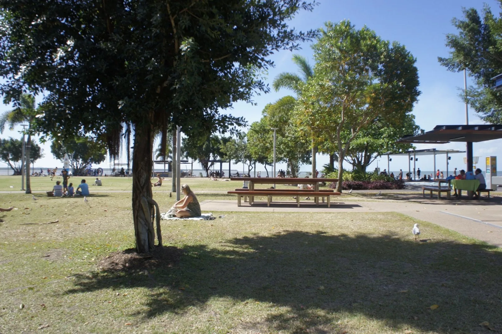 A lawn with shady trees and picnic tables, looking out to the sea and a waterfront with shade canopies