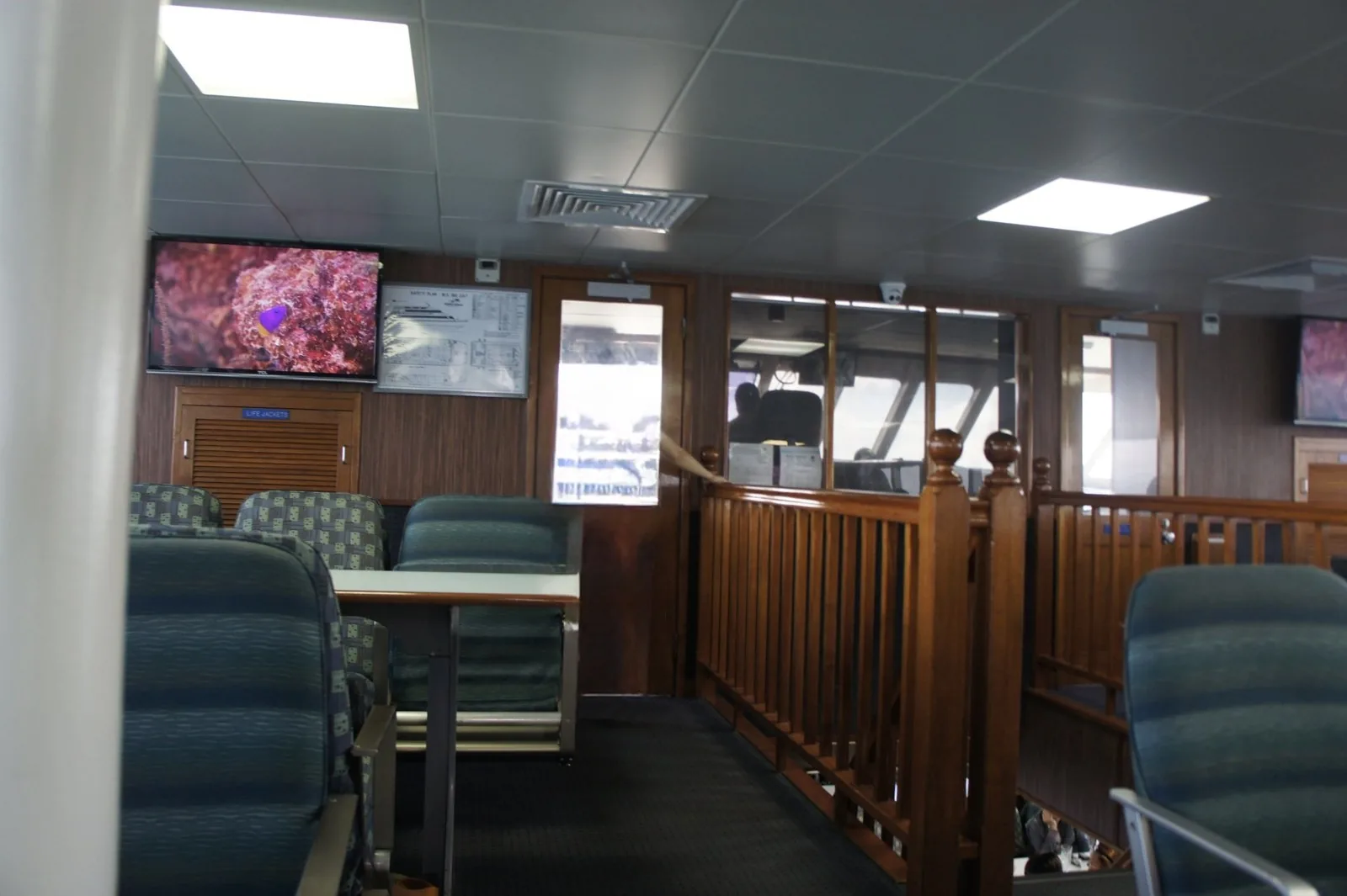 The boat's cabin with rows of teal seats and wooden handrails, and a monitor at the front showing coral footage