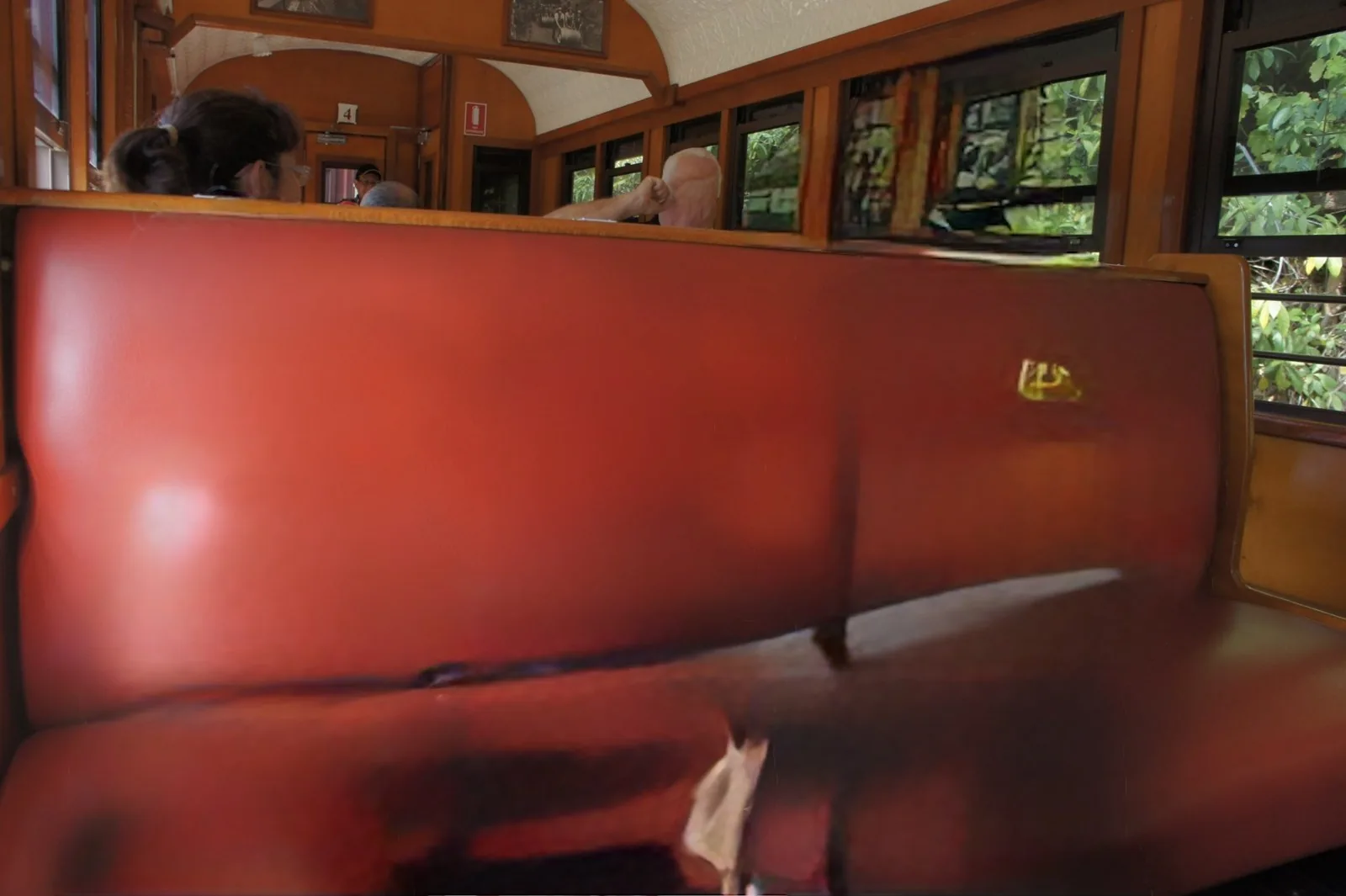 Red leather seats lined up in a carriage with a wooden interior, with green trees outside the windows