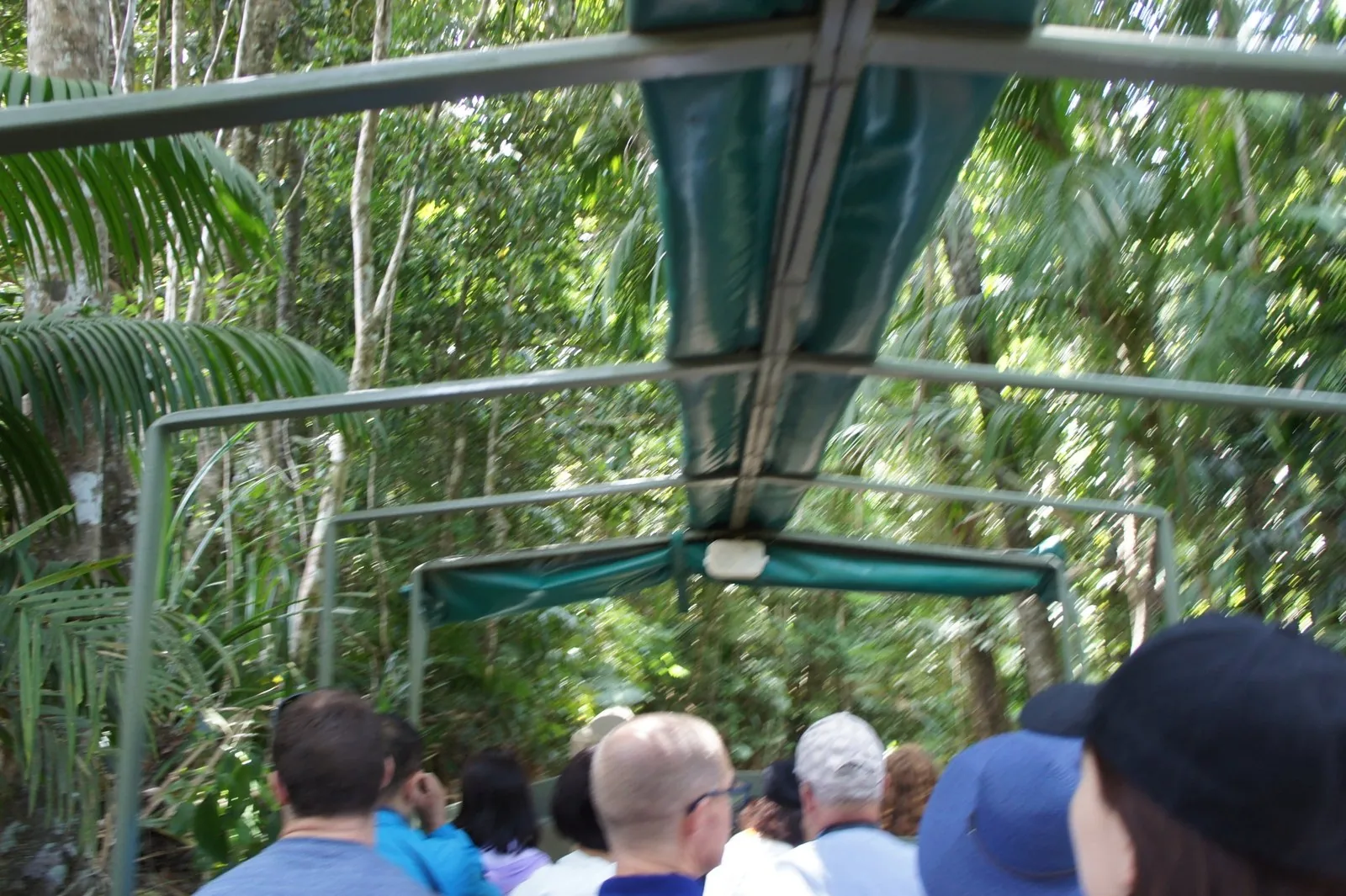The rainforest seen from an open vehicle with a green canopy, with passengers seated facing forward