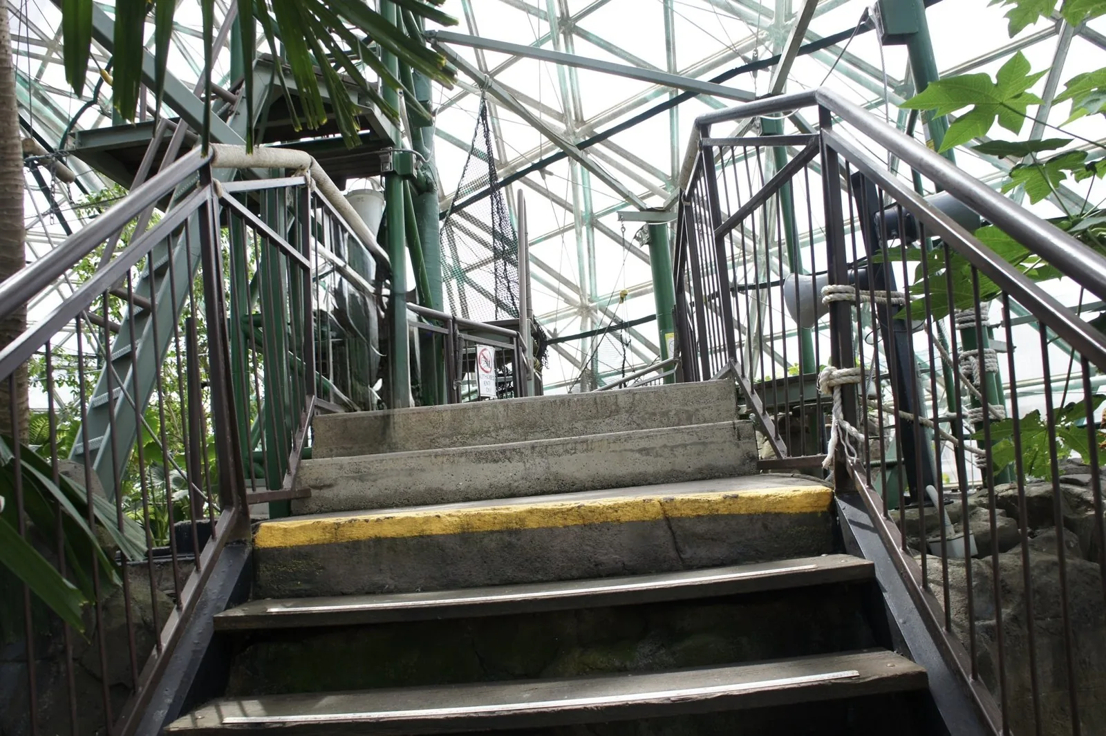 A staircase with handrails inside the glass dome, surrounded by tropical plants and green steel scaffolding