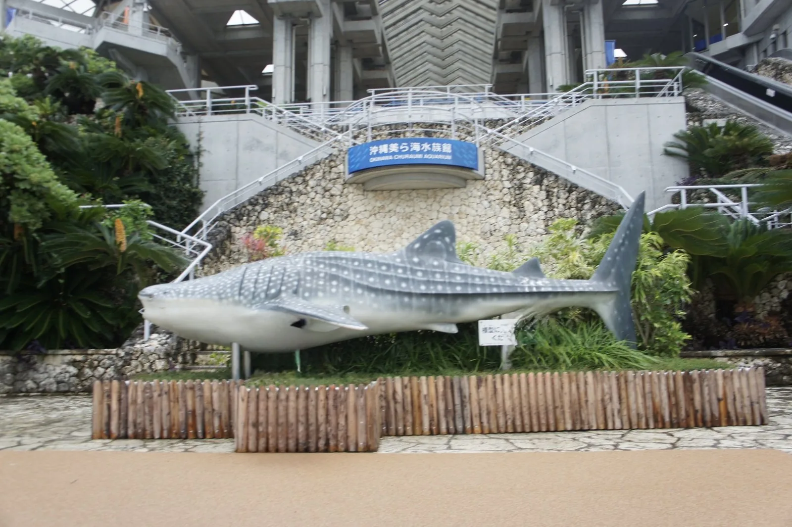美ら海水族館の入り口の近くに置かれた、大きなジンベエザメの像
