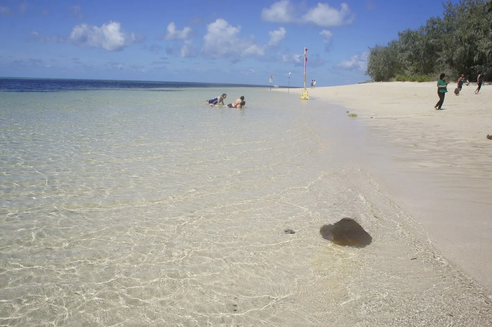 白い砂浜に沿って透明な浅い海が広がり、赤と黄色の旗が立つグリーン島のビーチ