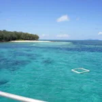 桟橋から見たエメラルドグリーンのサンゴ礁の海と、木々に覆われた島の白い砂浜